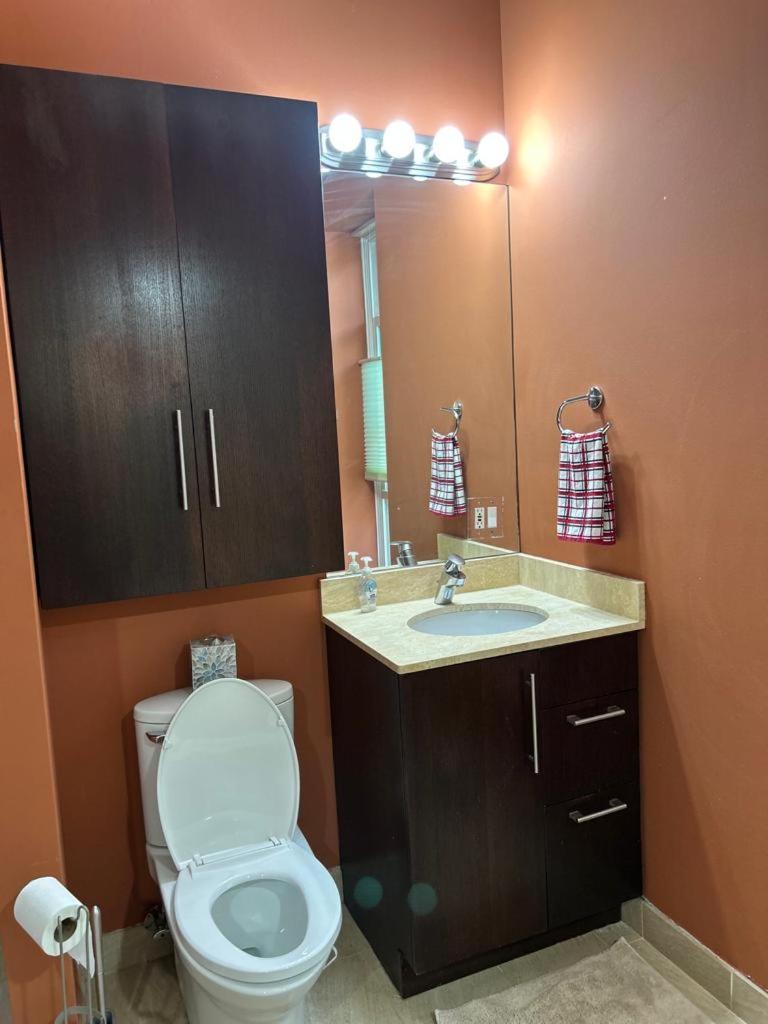 Gorgeous North Kenwood Hyde Park Unit Apartment Chicago Exterior photo